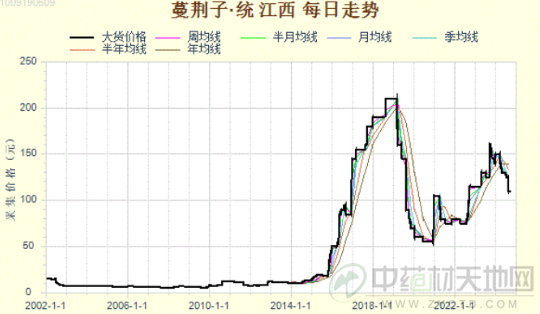 蔓荆子大行情走跌 后市有否反弹的机会？