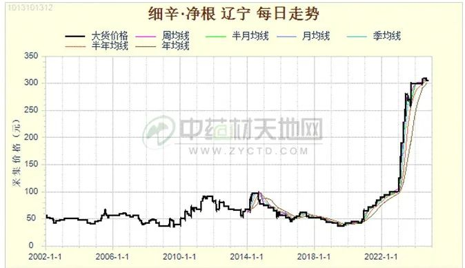 细辛周期还未走完 行情仍会高位运行