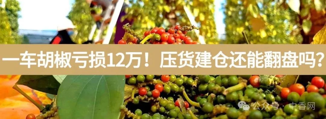 一车胡椒亏损12万！压货建仓还能翻盘吗？