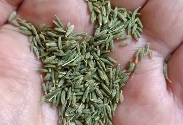 近日价格上涨和下跌的药材品种