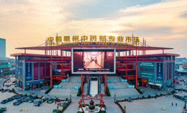 药市“金九"有点凉