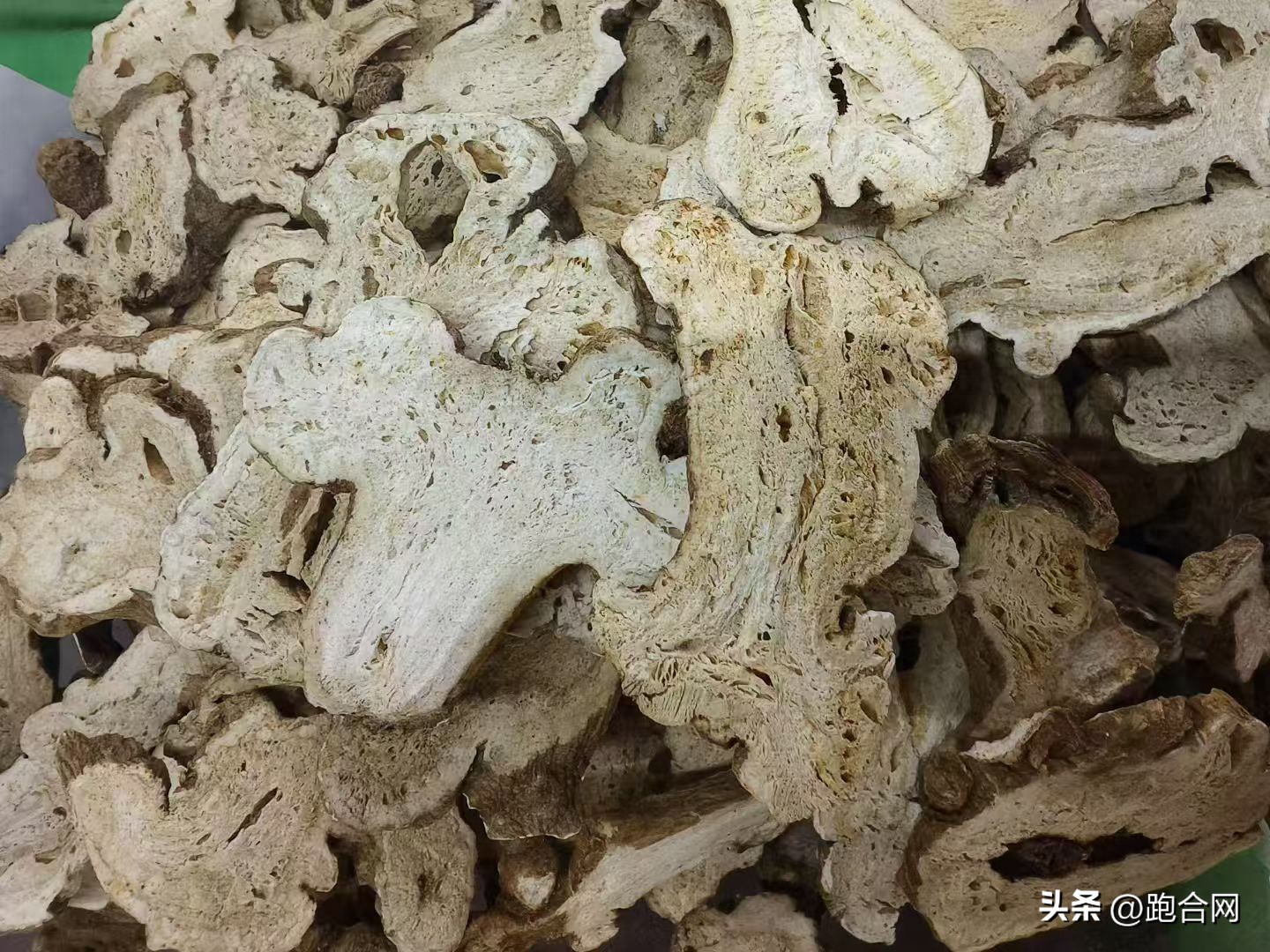 亳州中药材资讯