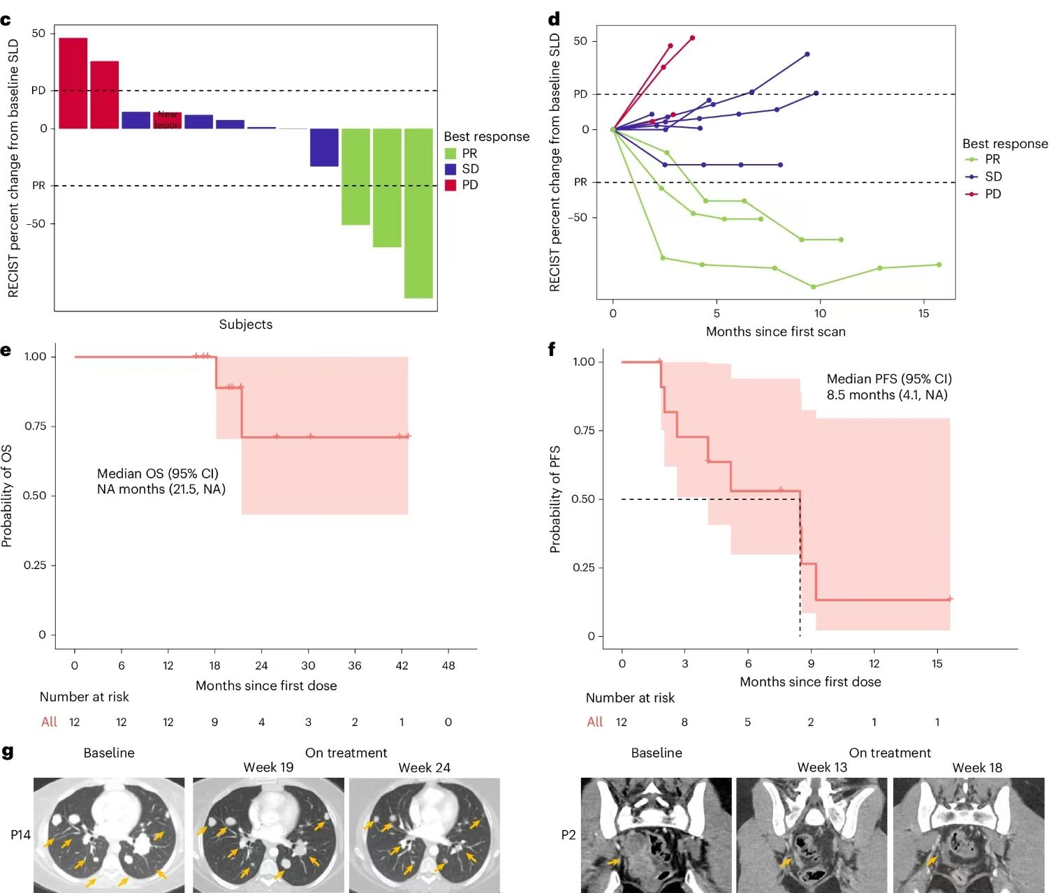 5年生存率100%！科学家正为您“量身定制”癌症疫苗抗癌方案