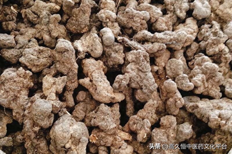 跌声一片！酸枣仁高位硬撑