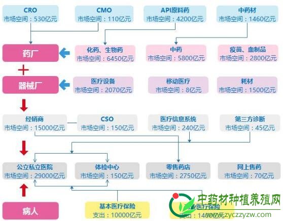 金融脱虚入实 中医药站在风口（下篇）