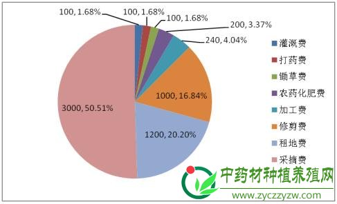 今年金银花价格会继续上涨？