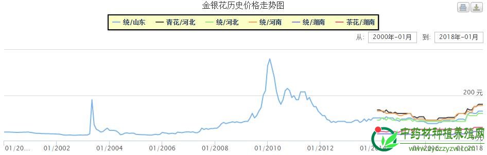 今年金银花价格会继续上涨？