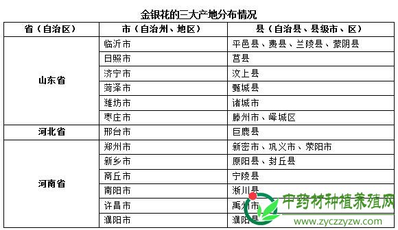 今年金银花价格会继续上涨？