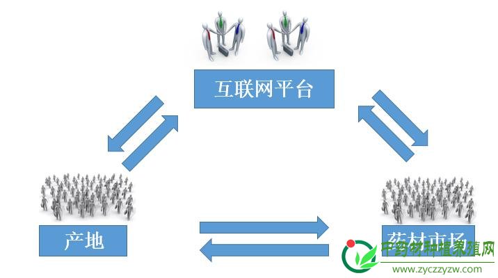 中药材+互联网，加了之后会怎样？