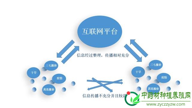 中药材+互联网，加了之后会怎样？