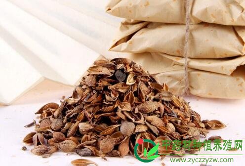 山西药材品种近期行情盘点