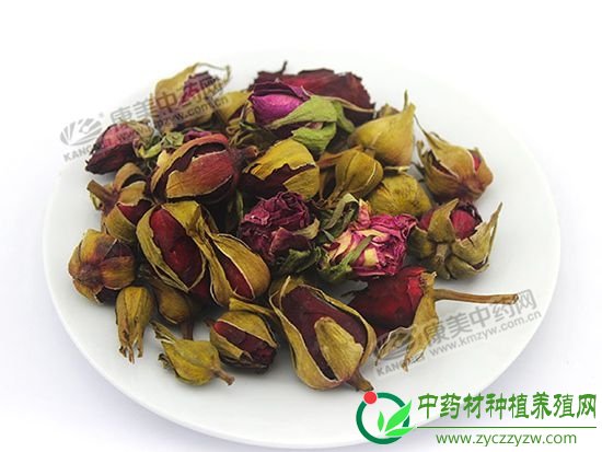 亳州药市：8月花茶类品种概述