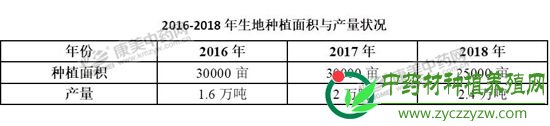 地黄种植减少，后市潜力无限