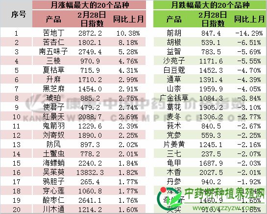 2月指数月报：2019年药市陷入困局？商家积极探索经营新模式
