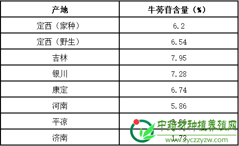 牛蒡子行情能否回暖?