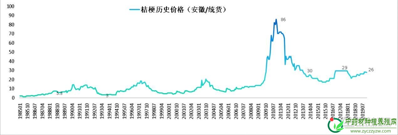 2019年桔梗种植生产情况分析