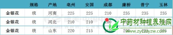 产新倒计时，十年新高金银花能否再创奇迹