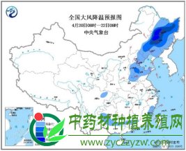 进口野生品种热点增多，产新品种跌多涨少