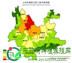 进口野生品种热点增多，产新品种跌多涨少