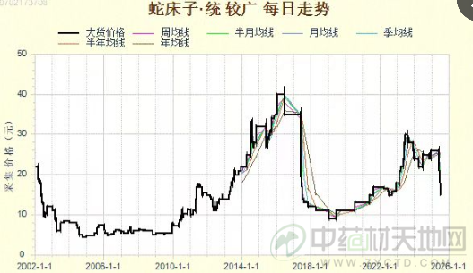 蛇床子行情逐步走低 后市是否继续关注？