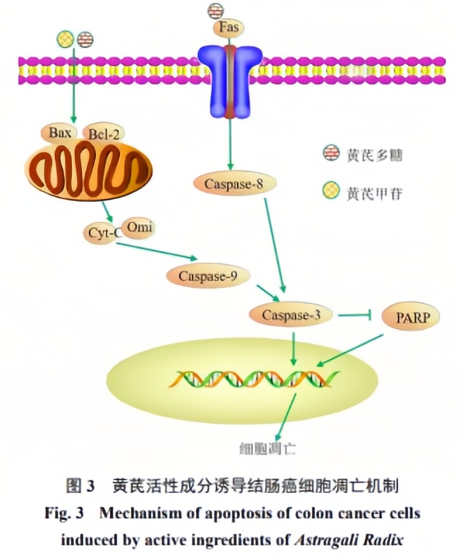120万一针的抗癌药真的神？中医方子也不差！