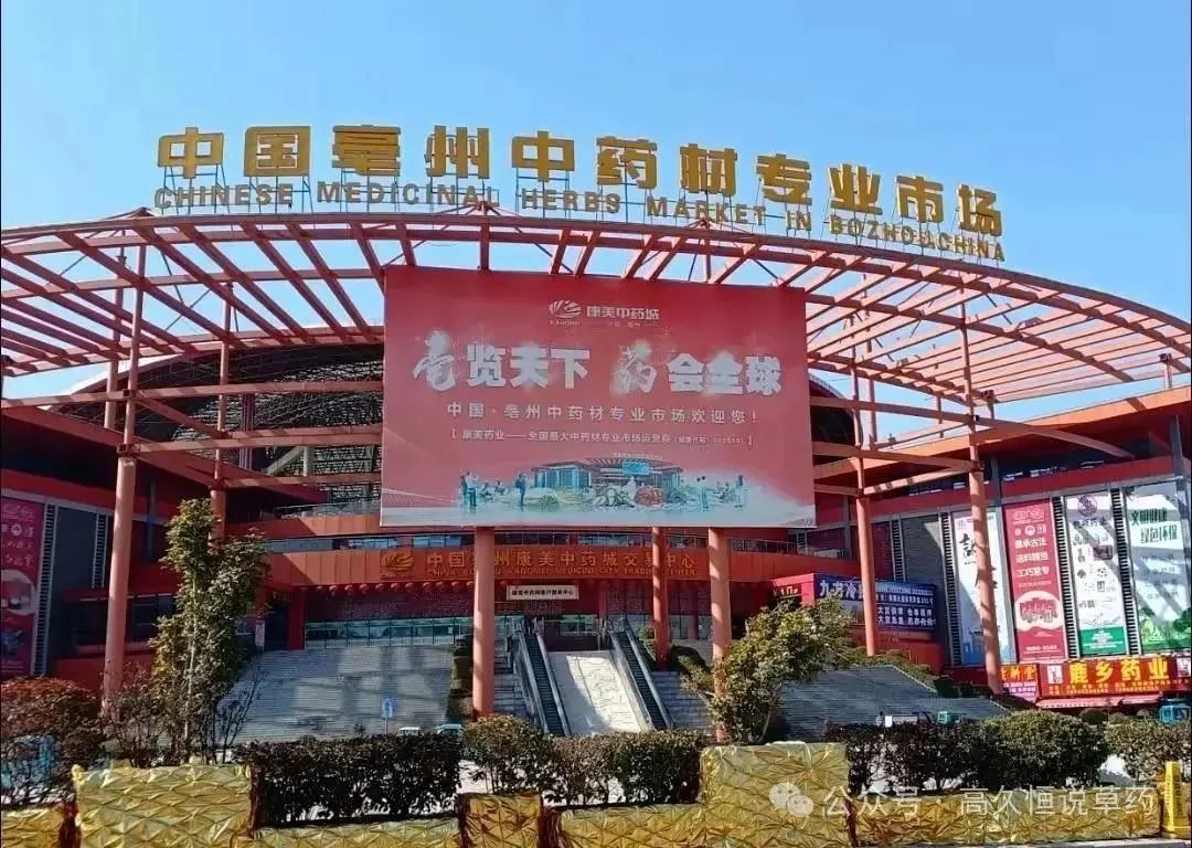 中药材熊市里的“反常”逻辑！