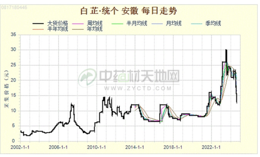 ​白芷产新药材后期是涨还是跌？