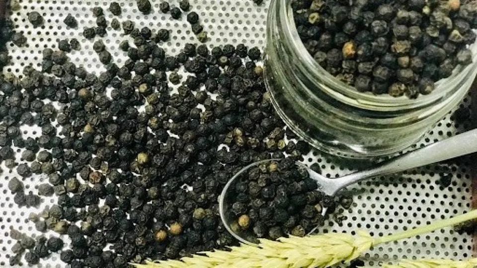 7月21日胡椒行情：受关税影响，7月上半月，越南胡椒进出口量双双下滑
