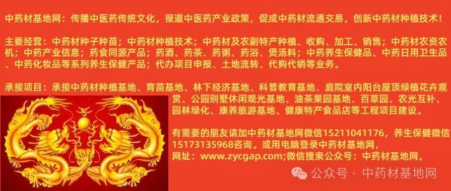 一物降一物：50种常见病最“怕”的中药！