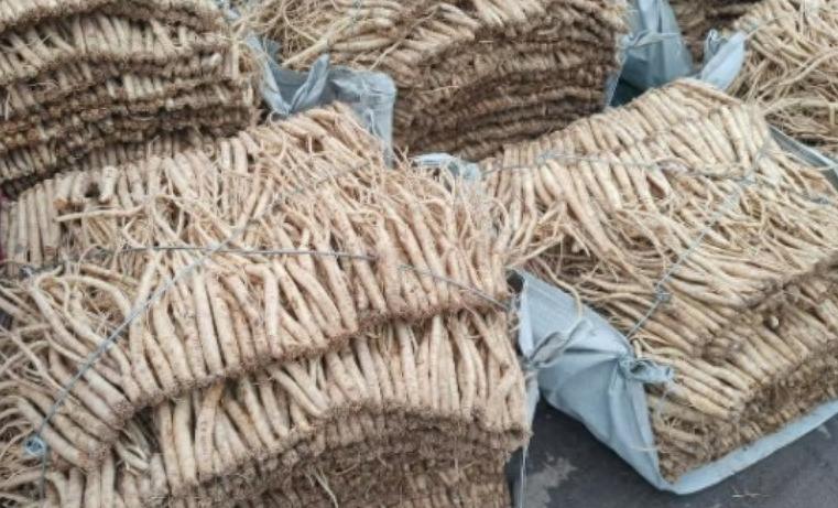 党参暴涨暴跌:价格“稳不住”了？