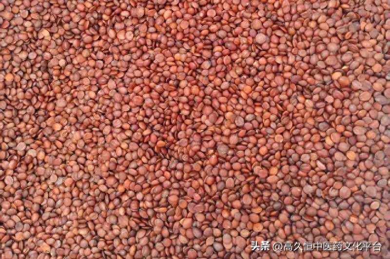 这几个药材为何能逆势上扬？