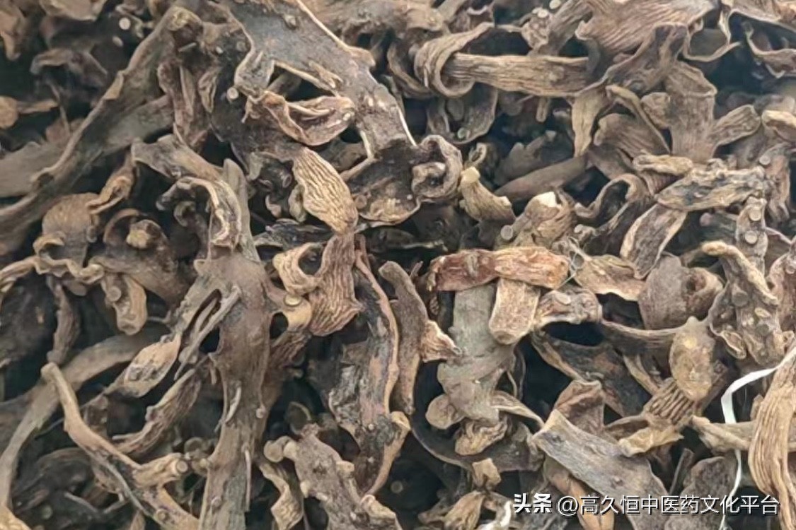 淡季涨价品种稀缺，这几个中小品种成为市场关注焦点