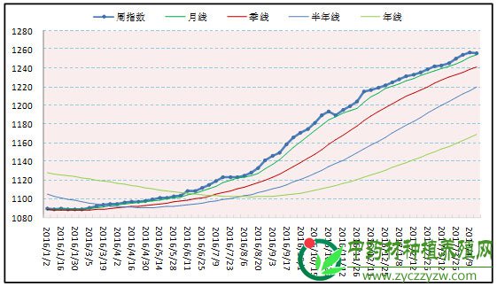 周评：热点品种消退 药市行情降温