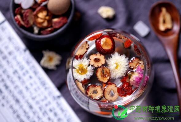 6月份花茶类品种概述