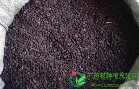 那些“听得到摸不着”进口药材还好吗